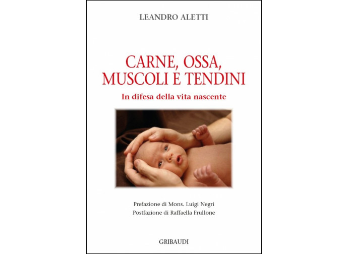 Carne, Ossa, Muscoli e Tendini 